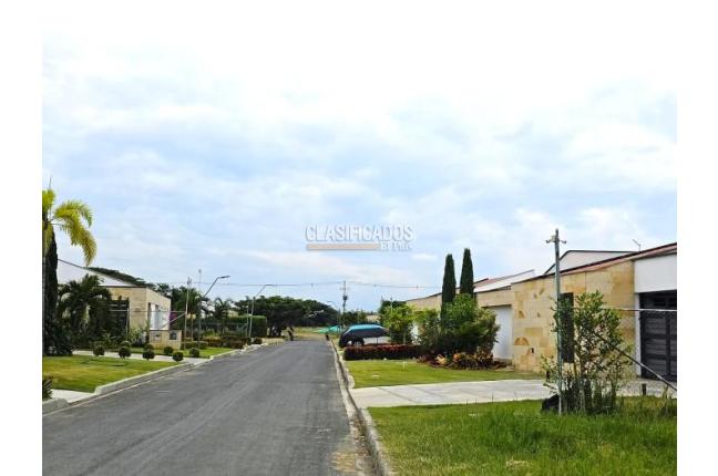 Lotes, Venta, Palmira - $480.000.000