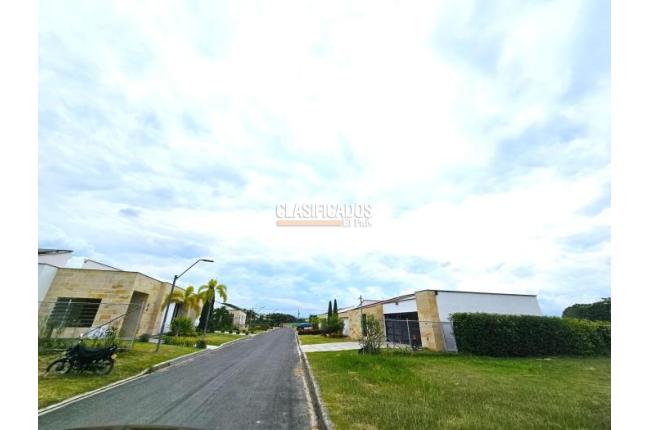 Lotes, Venta, Palmira - $480.000.000
