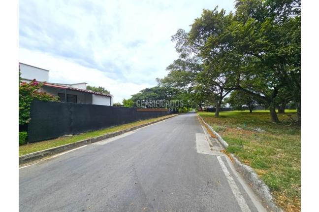 Lotes, Venta, Palmira - $480.000.000