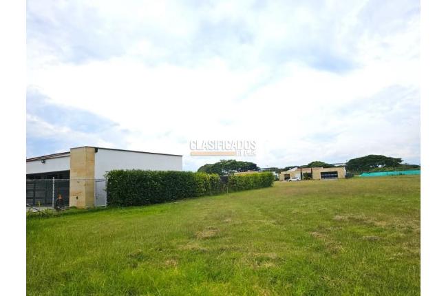 Lotes, Venta, Palmira - $480.000.000