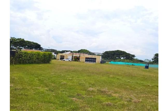 Lotes, Venta, Palmira - $480.000.000