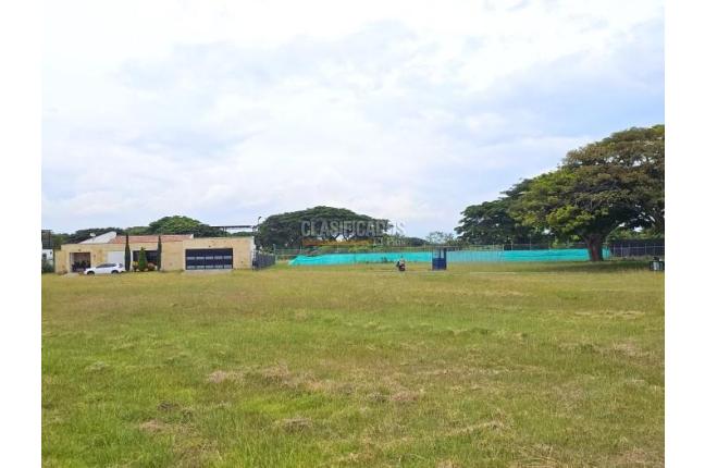 Lotes, Venta, Palmira - $480.000.000