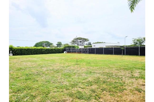 Lotes, Venta, Palmira - $590.000.000