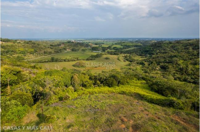 Lotes, Venta en Pance