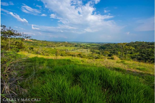 Lotes, Venta, Pance - $1.100.000.000