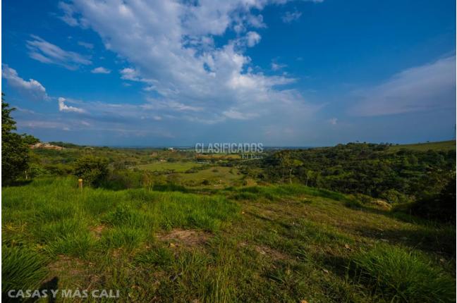 Lotes, Venta, Pance - $1.100.000.000