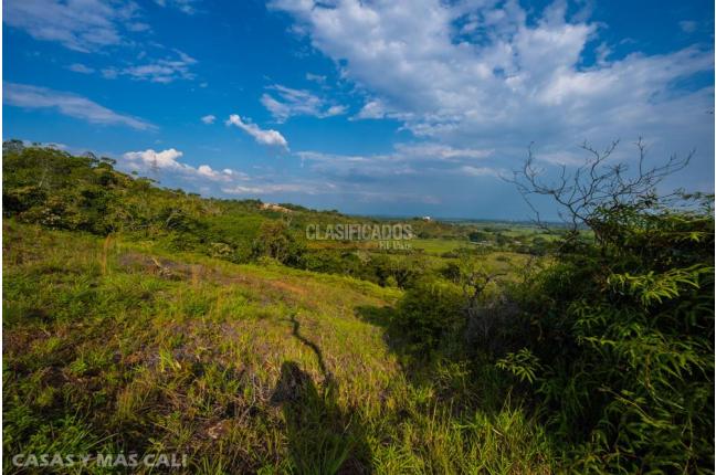 Lotes, Venta, Pance - $1.100.000.000