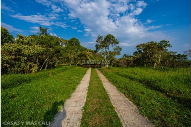 Lotes, Venta, Pance - $1.100.000.000
