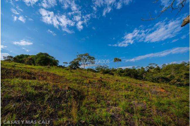 Lotes, Venta, Pance - $1.100.000.000