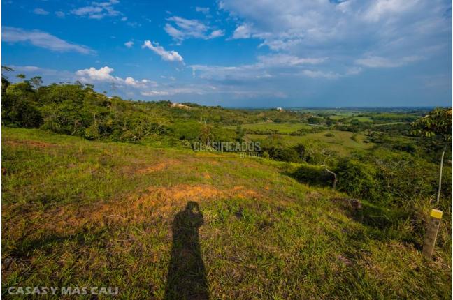 Lotes, Venta, Pance - $1.100.000.000