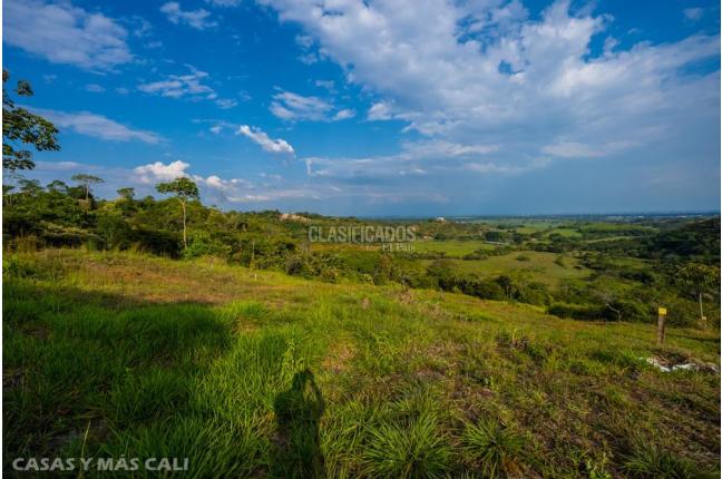 Lotes, Venta, Pance - $1.100.000.000