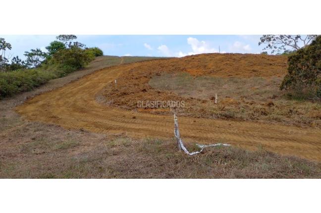 Lotes, Venta, Pance - $960.000.000