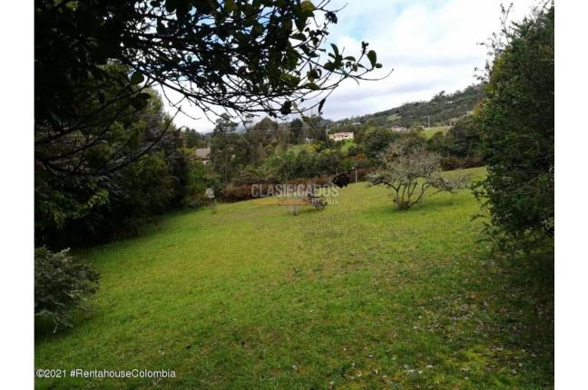 Lotes, Venta, La Calera - $1.600.000.000