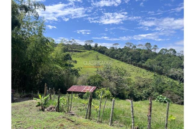 Lotes, Venta, Pance - $540.000.000