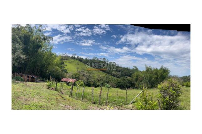 Lotes, Venta, Pance - $540.000.000