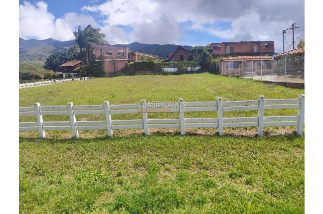 Lotes, Venta, Calima (Darién) - $300.000.000