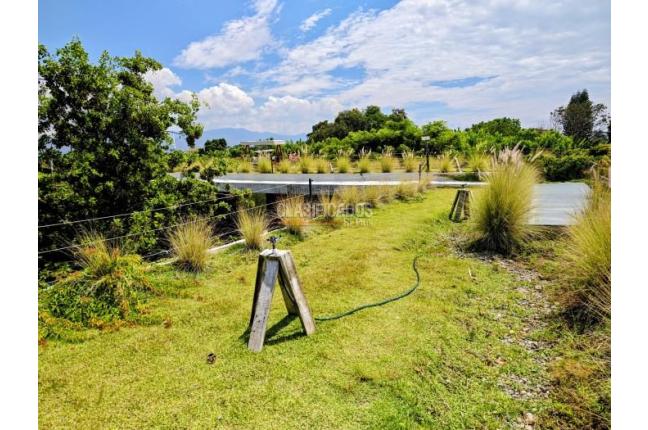 Casas, Venta, Palmira - $2.400.000.000