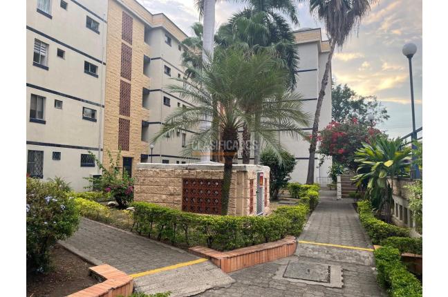 Apartamentos, Venta, Los Andes - $230.000.000