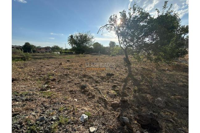 Lotes, Venta, El Cerrito - $440.000.000