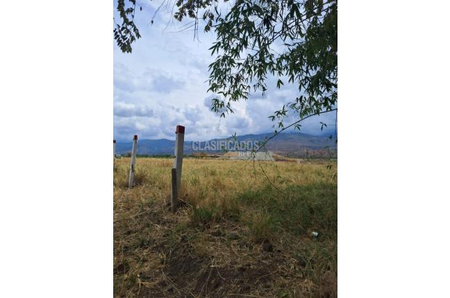 Lotes, Venta, El Cerrito - $180.000.000