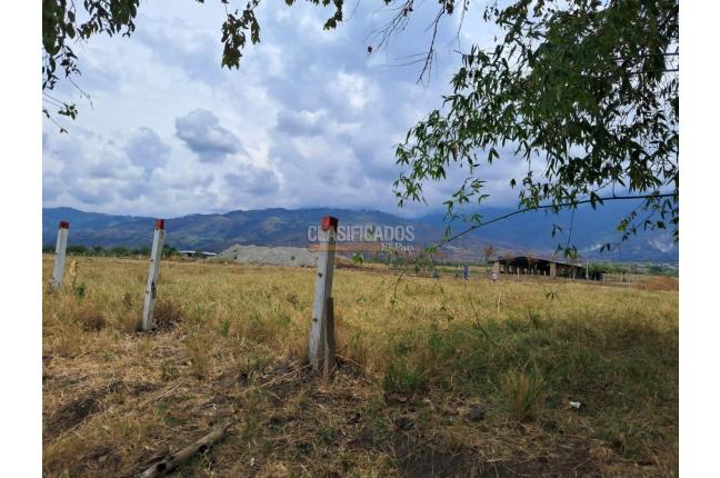 Lotes, Venta, El Cerrito - $180.000.000