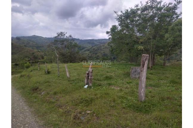 Fincas y Casas Campestres, Venta, Guacarí - $1.200.000.000
