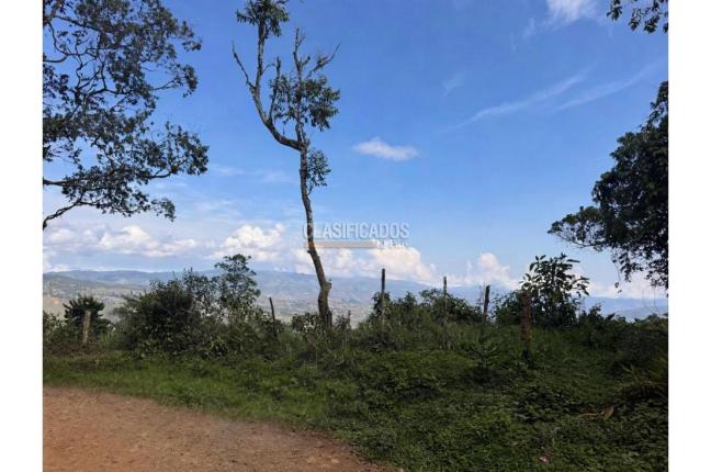 Lotes, Venta en Dagua
