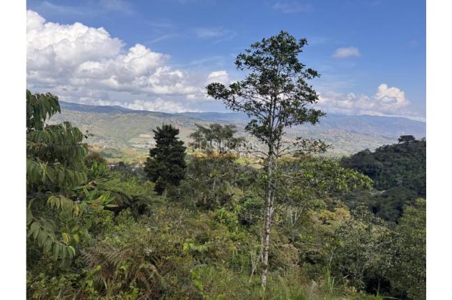 Lotes, Venta, Dagua - $180.000.000