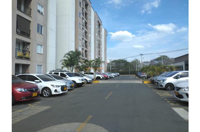 Apartamentos, Alquiler en Ciudad Pacifica