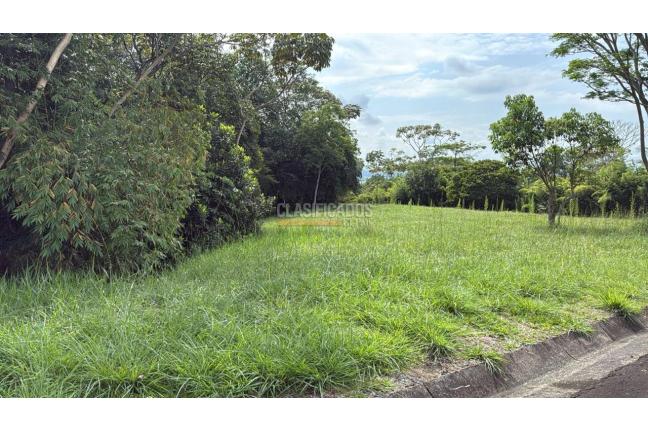 Lotes, Venta, Pance - $950.000.000