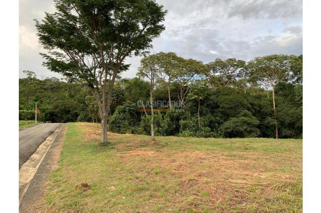 Lotes, Venta, Pance - $950.000.000