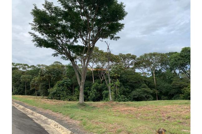 Lotes, Venta, Pance - $950.000.000