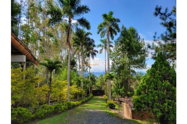 Fincas y Casas Campestres, Venta, Saladito - $1.200.000.000
