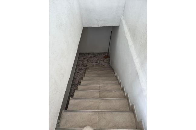 Apartamentos, Alquiler, 7 de Agosto