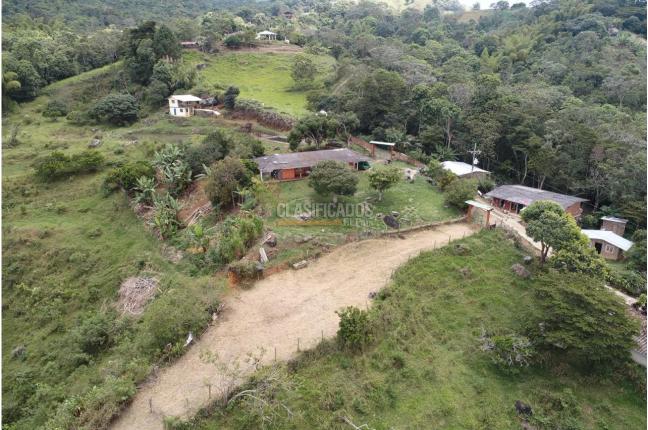 Fincas y Casas Campestres, Venta en Pance