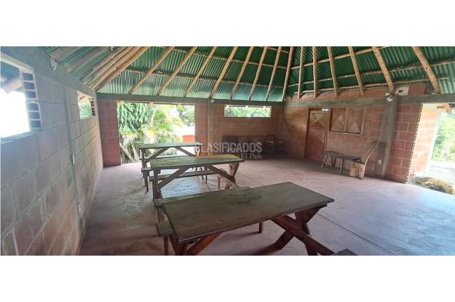 Fincas y Casas Campestres, Venta, Pance - $800.000.000