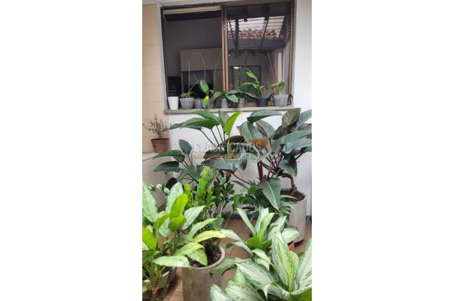 Casas, Venta, Santa Rita - $950.000.000