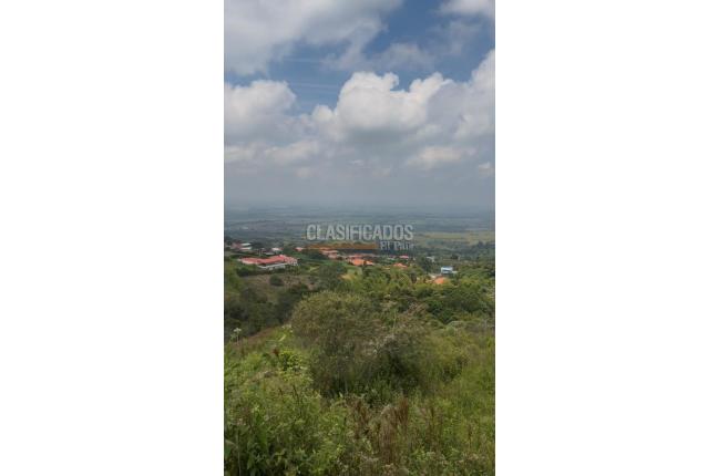 Lotes, Venta, El Cerrito - $145.000.000