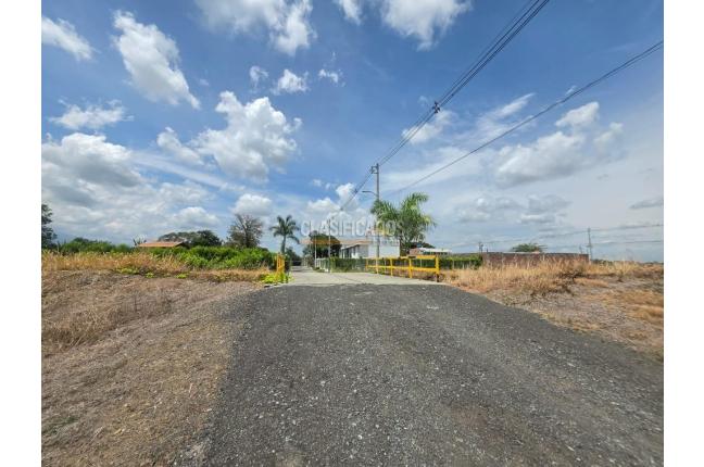 Lotes, Venta, El Cerrito - $145.000.000