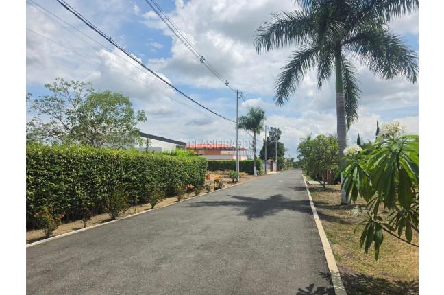 Lotes, Venta, El Cerrito - $145.000.000