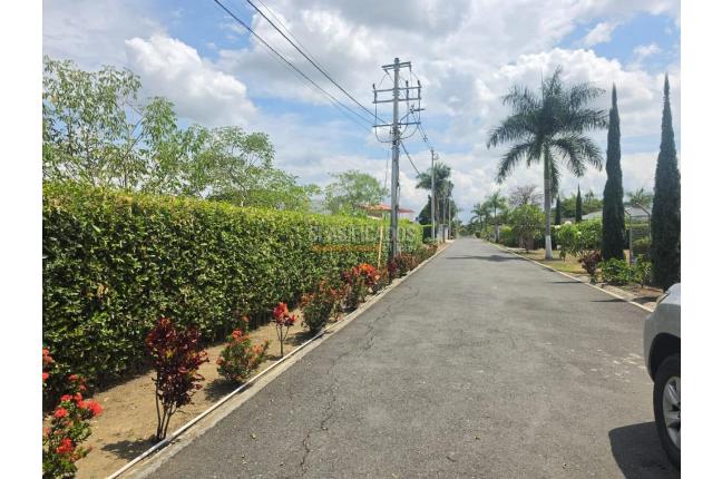Lotes, Venta, El Cerrito - $145.000.000