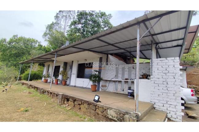 Casas, Alquiler en Cristales