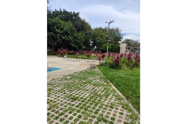 Edificios, Venta en El Limonar