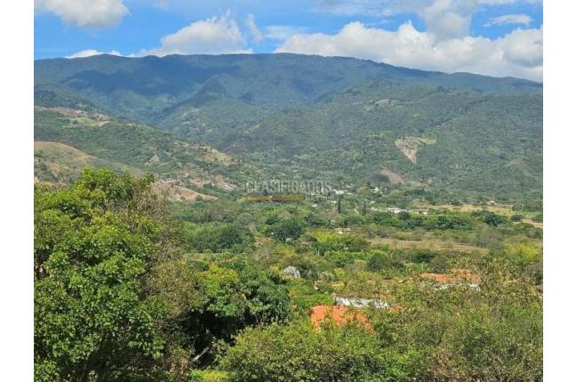 Lotes, Venta en Palmira