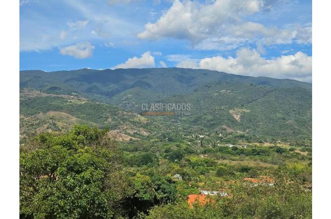 Lotes, Venta, Palmira - $360.000.000