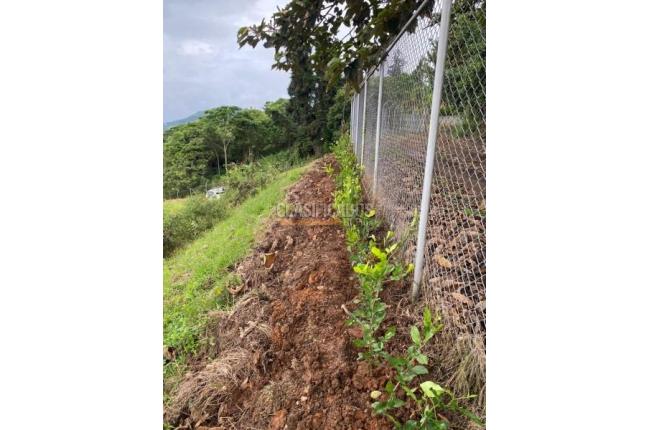 Lotes, Venta en Dapa