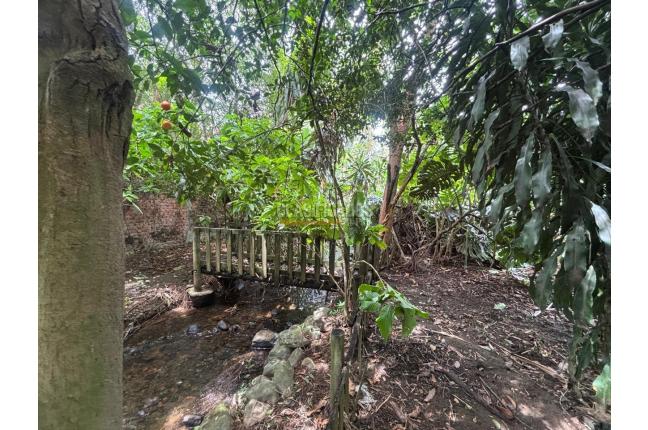 Lotes, Venta, Pance - $4.499.000.000