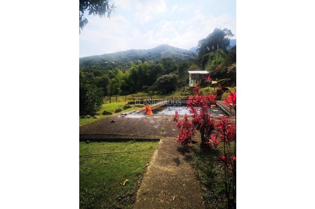 Fincas y Casas Campestres, Venta, Pance - $790.000.000