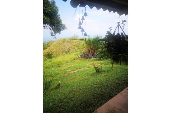 Fincas y Casas Campestres, Venta, Pance - $790.000.000