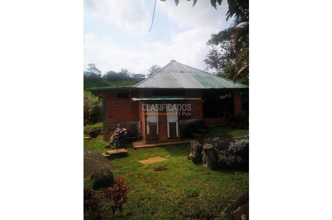 Fincas y Casas Campestres, Venta, Pance - $790.000.000